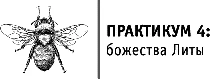 Один из важнейших аспектов божественности Литы это битва королей А пантеон - фото 104