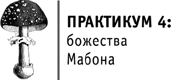 Божества на Мабон уже немного темные а на Самайн мы встретимся с самыми - фото 150