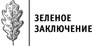 Вот мы и пришли от света к тени и теперь снова движемся к свету вновь и вновь - фото 182