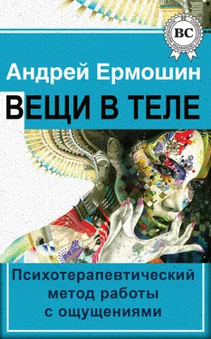 Андрей Ермошин Вещи в теле обложка книги