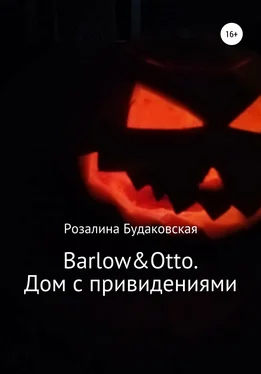 Розалина Будаковская Barlow&Otto. Дом с привидениями обложка книги