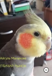 Айгуль Малахова - Птичий рынок