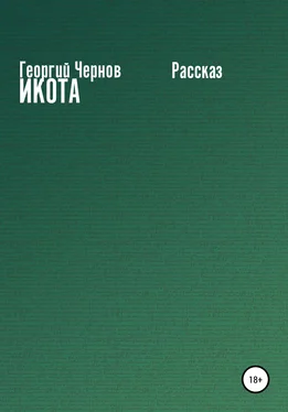 Георгий Чернов Икота обложка книги