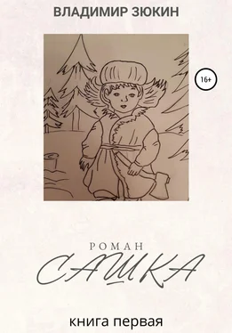 Владимир Зюкин Сашка обложка книги