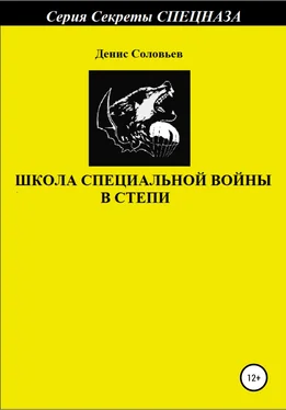 Денис Соловьев Школа специальной войны в степи обложка книги