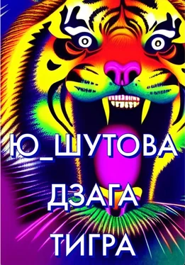 Ю_ШУТОВА Дзага Тигра обложка книги
