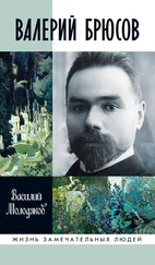 Василий Молодяков - Валерий Брюсов