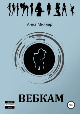 Анна Миллер Вебкам обложка книги