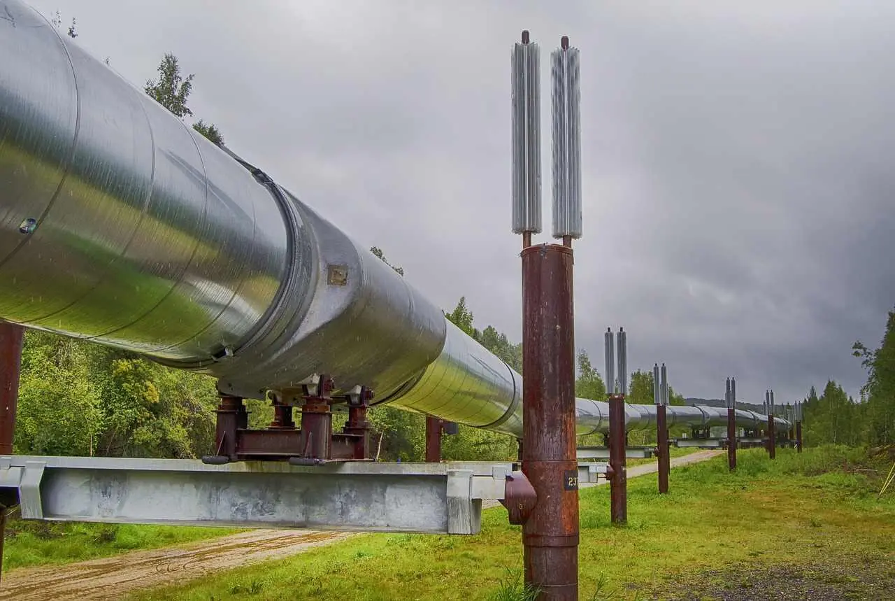 Рисунок 1138 Король Денариев Законодатель Материи и Финансов Нефтепровод - фото 113