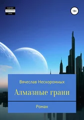 Вячеслав Нескоромных - Алмазные грани