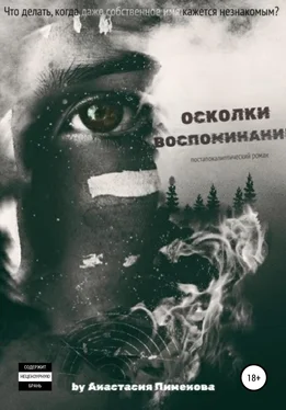 Анастасия Пименова Осколки воспоминаний обложка книги