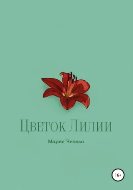 Мария Чепало Цветок Лилии обложка книги