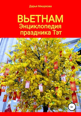 Дарья Мишукова Вьетнам. Энциклопедия праздника Тэт обложка книги