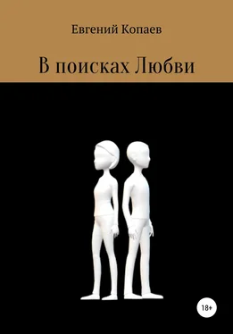 Евгений Копаев В поисках Любви обложка книги