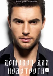 Виктория Соломина - Домовой для недотроги