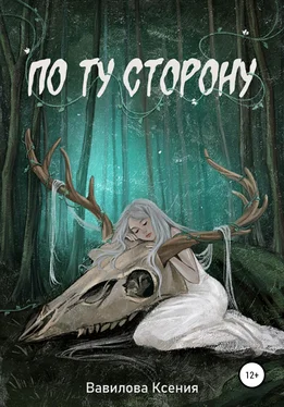 Ксения Вавилова По ту сторону обложка книги