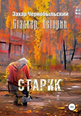Захар Чернобыльский Сталкер. Истории. Старик обложка книги