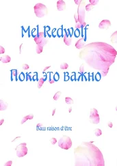 Mel RedWolf - Пока это важно