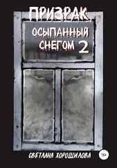 Светлана Хорошилова - Призрак, осыпанный снегом – 2