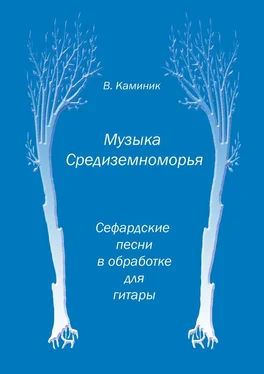 Владимир Каминик Музыка Средиземноморья обложка книги