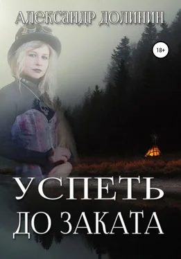 Александр Долинин Успеть до заката обложка книги