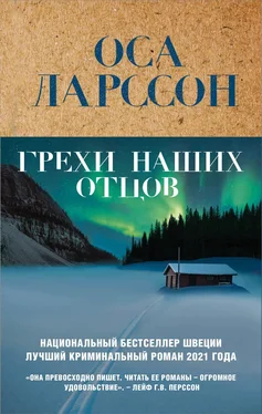 Оса Ларссон Грехи наших отцов обложка книги