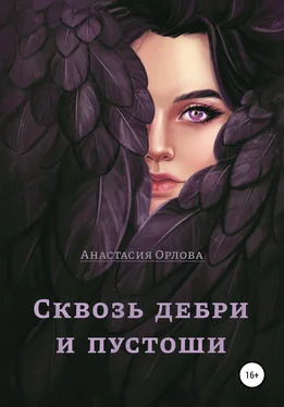 Анастасия Орлова Сквозь дебри и пустоши обложка книги