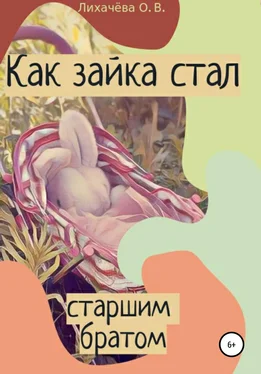 Ольга Лихачёва Как зайка стал старшим братом обложка книги