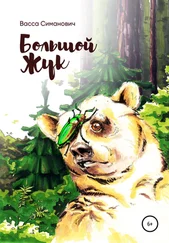 Васса Симанович - Большой Жук