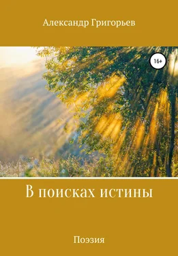 Александр Григорьев В поисках истины обложка книги