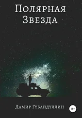 Дамир Губайдуллин - Полярная звезда