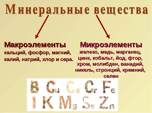 Рисунок 3 Классификация минеральных веществ Железо металл VIII группы - фото 3