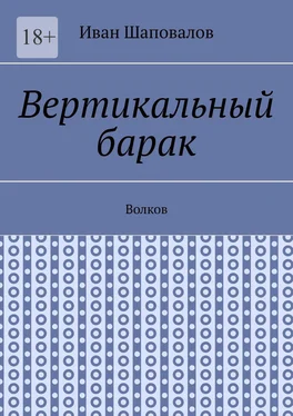 Иван Шаповалов Вертикальный барак. Волков обложка книги