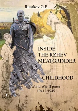Gennadiy Rusakov Inside the Rzhev Meatginder обложка книги