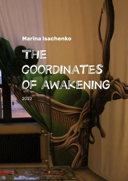 Marina Isachenko The coordinates of awakening. 2022 обложка книги
