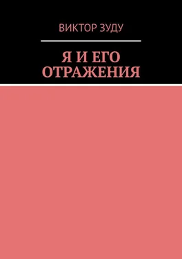 Виктор Зуду Я и его отражения обложка книги