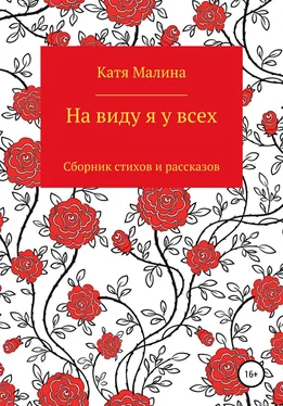 Катя Малина На виду я у всех обложка книги