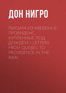 Дон Нигро Письма из Квебека в Провиденс, купленные под дождем / Letters from Quebec to Providence in the Rain обложка книги