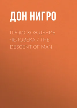 Дон Нигро Происхождение человека / The Descent of man обложка книги