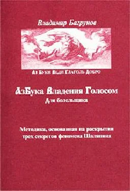 Владимир Багрунов Азбука владения голосом для болельщика обложка книги