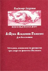 Владимир Багрунов - Азбука владения голосом для болельщика