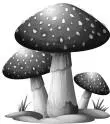 Баркли Торн знал о грибах почти всё а известно о них было много Он знал что - фото 1