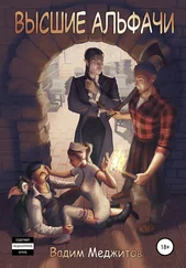 Вадим Меджитов - Высшие альфачи