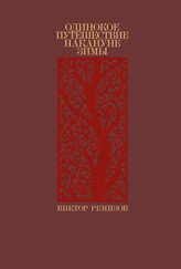 Виктор Ремизов - Одинокое путешествие накануне зимы