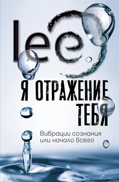 Lee Я отражение тебя. Вибрации сознания или начало всего обложка книги