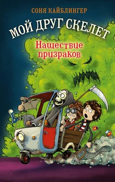 Соня Кайблингер Нашествие призраков обложка книги