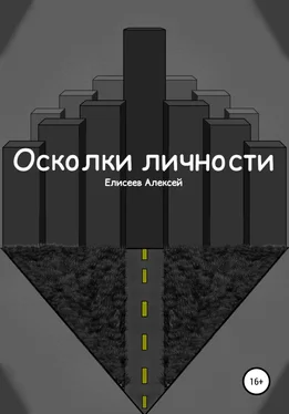 Алексей Елисеев Осколки личности обложка книги