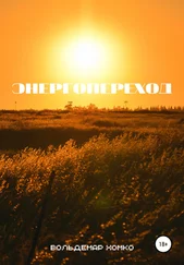 Вольдемар Хомко - Энергопереход