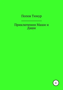 Тимур Попов Приключения Маши и Даши обложка книги