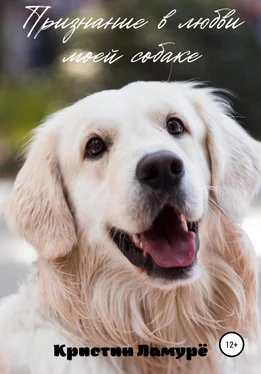 Кристин Ламурё Признание в любви моей собаке обложка книги